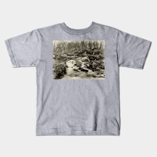 Misty mountain stream Kids T-Shirt